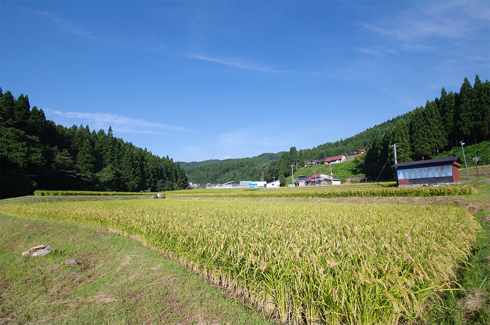 お米へのこだわり